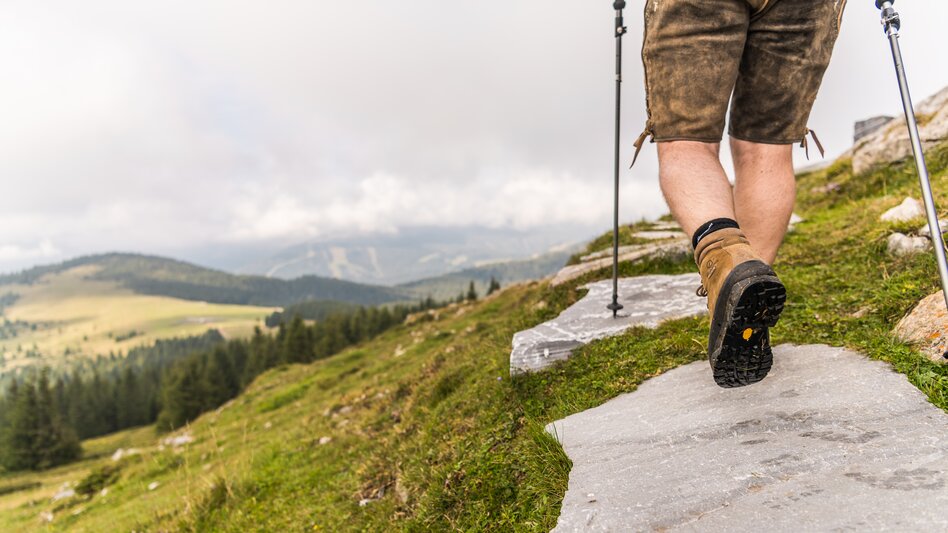 Altes Almhaus | © Lipizzanerheimat | Die Abbilderei