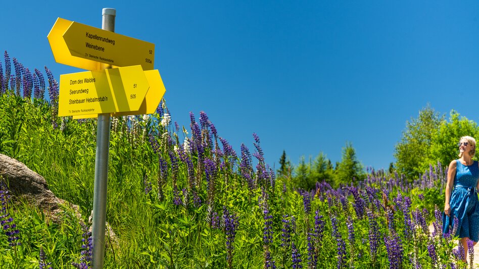Hebalmsee | © TV Region Graz | Mias Photoart