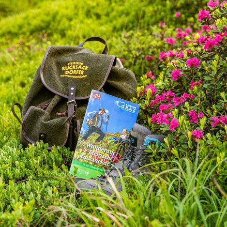 Almrauschblüte | © TV Region Graz | Mias Photoart