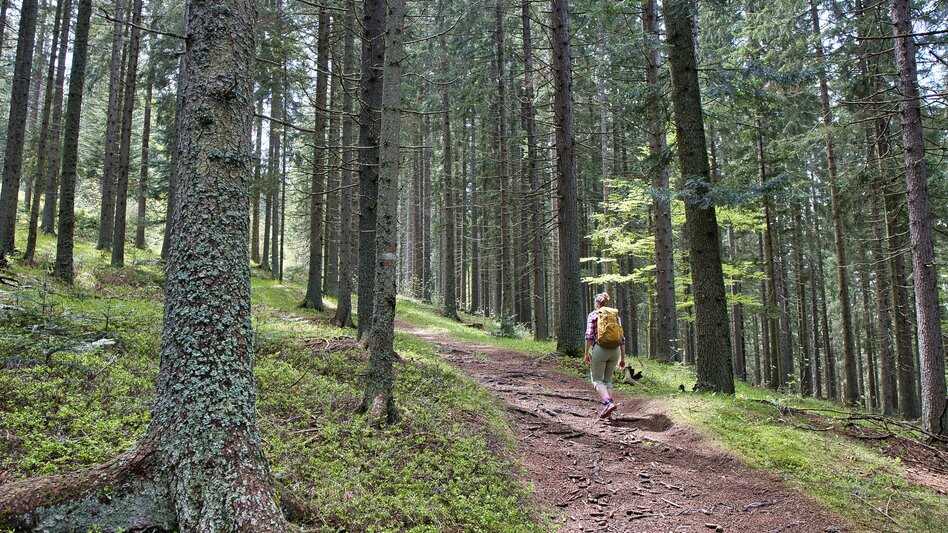 Großofen Runde | WEGES OG