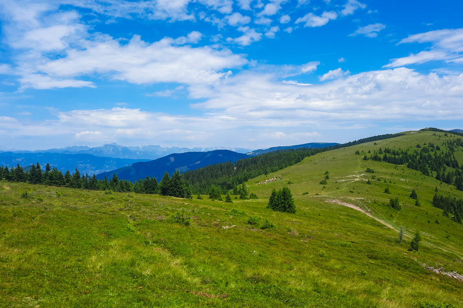 Terenbachalm | Verena Menapace