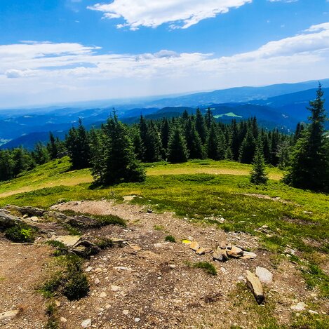 Terenbachalm | Verena Menapace