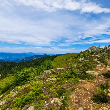 Terenbachalm | Verena Menapace