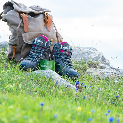 Altes Almhaus | © TV Region Graz | Mias Photoart