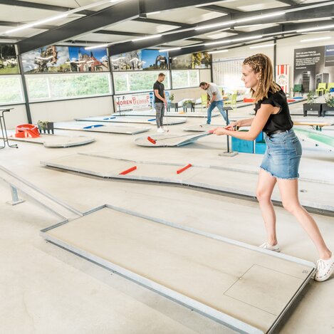 Bahnen- und Minigolfclub  | © Lipizzanerheimat | Die Abbilderei