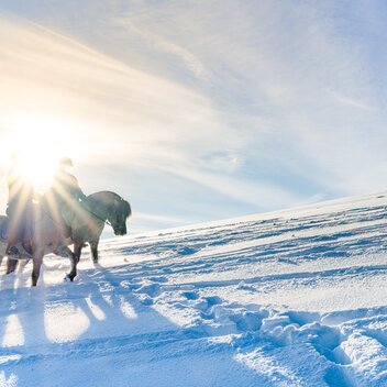 Horseback riding | © TV Region Graz | Mias Photoart