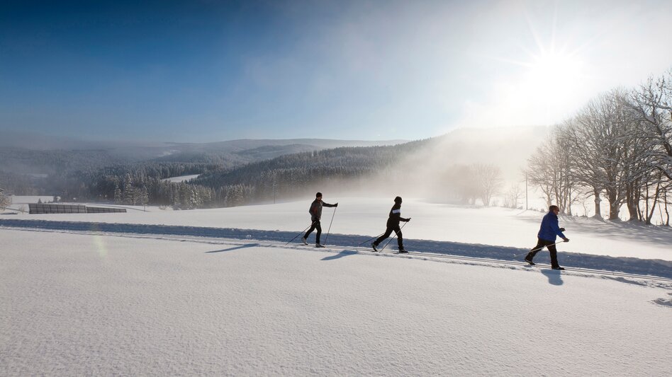 Cross-country skiing | © TV Region Graz | Tom Lamm