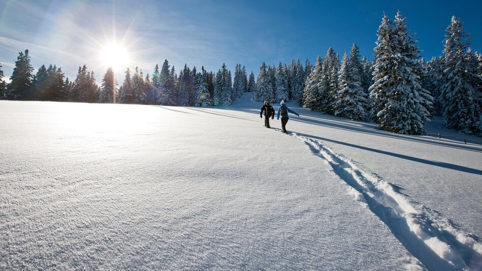 Schneeschuhwandern | © TV Region Graz | Tom Lamm