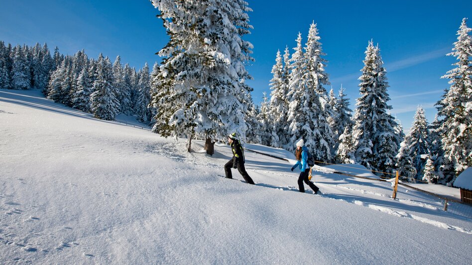 Schneeschuhwandern | © TV Region Graz | Tom Lamm