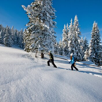 Snowshoeing | © TV Region Graz | Tom Lamm