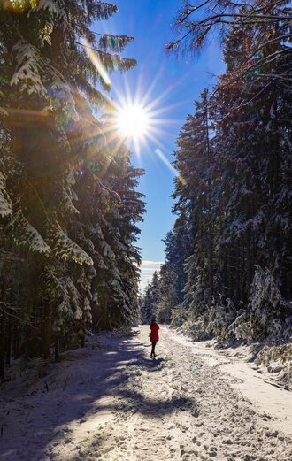 Spaziergang in der Winterlandschaft in der Erlebnisregion Graz | © TV Region Graz | Harry Schiffer