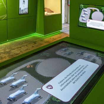 Museum | © SHS - Lipizzanergestüt Piber GöR | Rene van Bakel