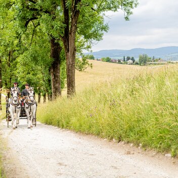 Lipizzaner Stud Farm Piber | © SHS Lipizzanergestüt Piber GöR | Die Abbilderei