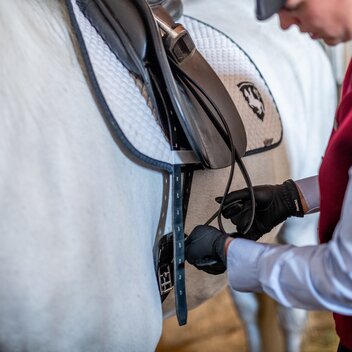 Lipizzaner Stud Farm Piber | © Die Abbilderei  Sajovic&Scherr GesbR | Die Abbilderei