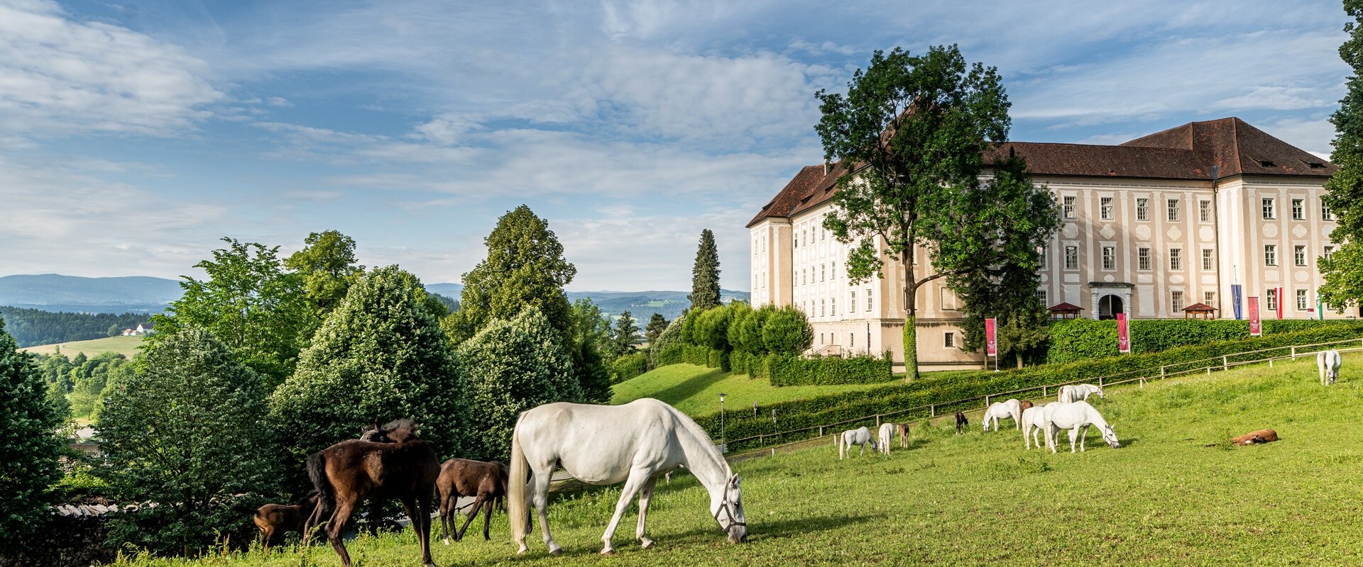 Lipizzaner Stud Farm Piber | © Die Abbilderei  Sajovic&Scherr GesbR | Die Abbilderei