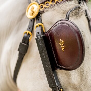 Driving department | © Die Abbilderei  Sajovic&Scherr GesbR | Die Abbilderei