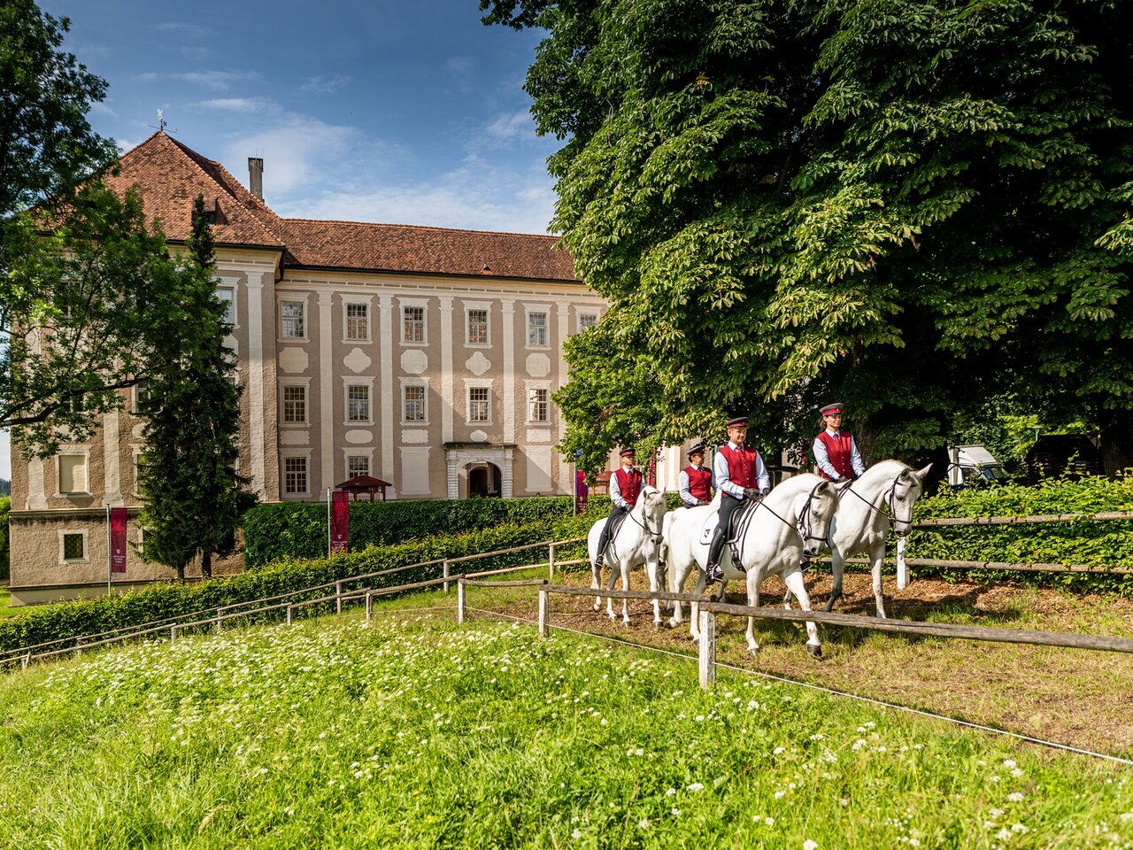 Lipizzanergestüt Piber | © Lipizzanerheimat | Die Abbilderei