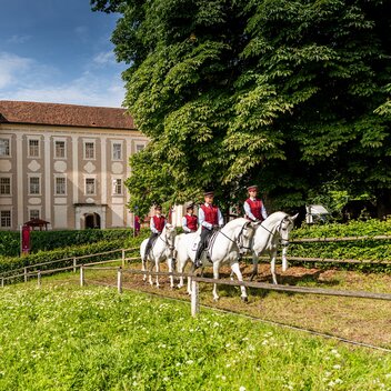 Lipizzaner Stud Farm Piber | © Die Abbilderei  Sajovic&Scherr GesbR | Die Abbilderei