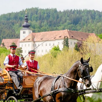 Lipizzanergestüt Piber | © TV Region Graz | Mias Photoart