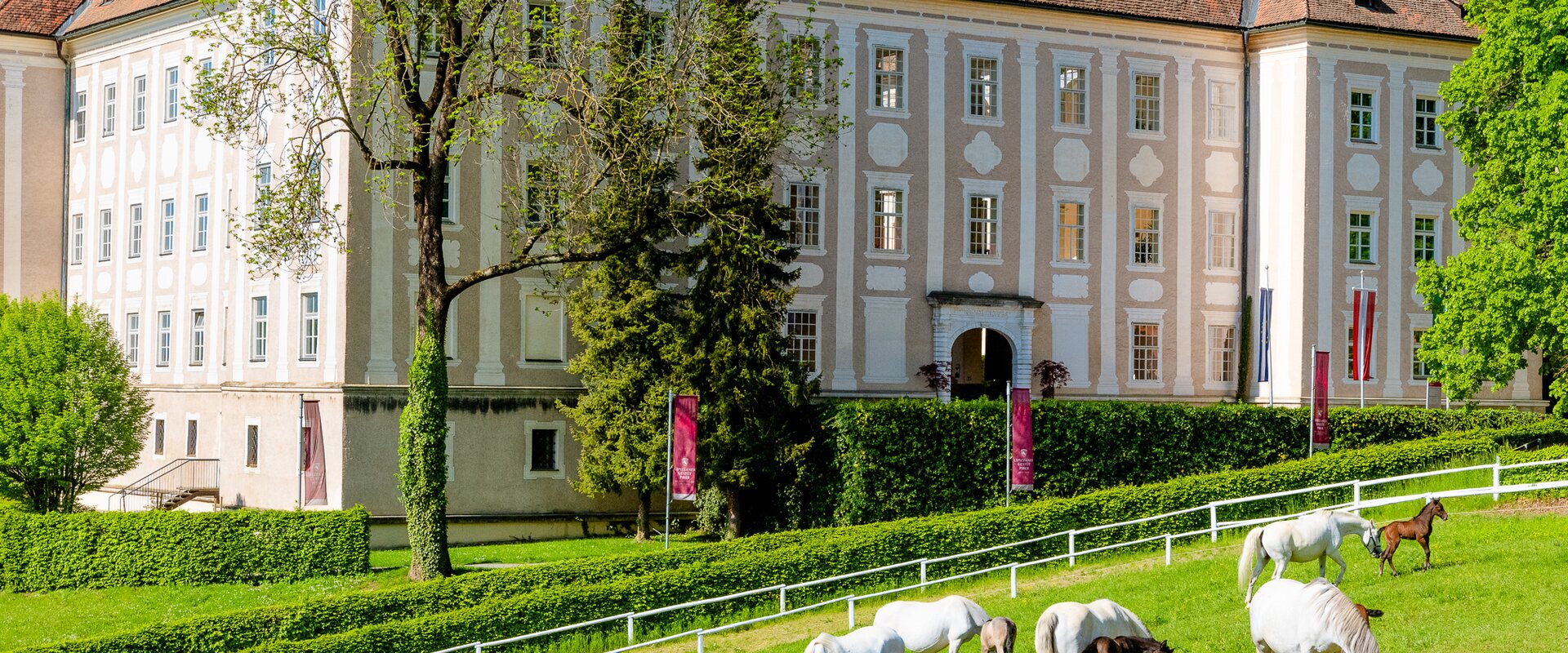 Lipizzanergestüt Piber | © TV Region Graz | Mias Photoart