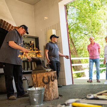 Lipizzanergestüt Piber | © TV Region Graz | Mias Photoart