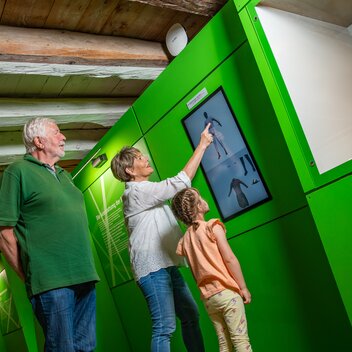 Lipizzanergestüt Piber | © TV Region Graz | Mias Photoart