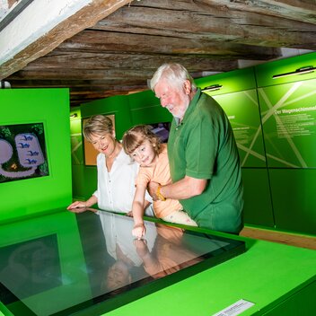 Lipizzanergestüt Piber | © TV Region Graz | Mias Photoart