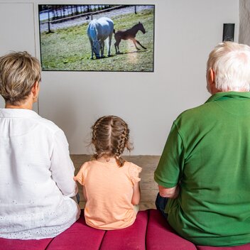 Lipizzanergestüt Piber | © TV Region Graz | Mias Photoart