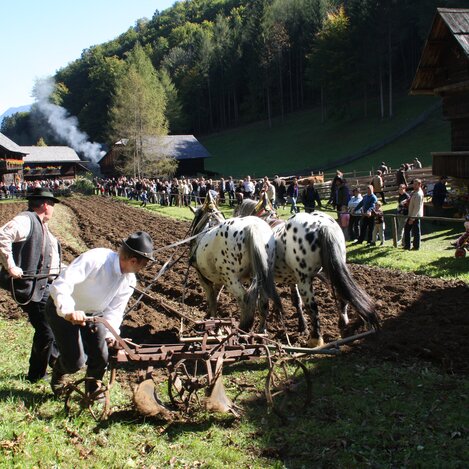Austrian Open-Air Museum  | © OEFM Stübing | E. Poettler