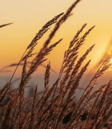 Herbststimmung am Schöckl | © Region Graz | studio draussen