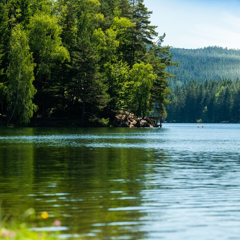 Packer Stausee | © TV Region Graz | Mias Photoart