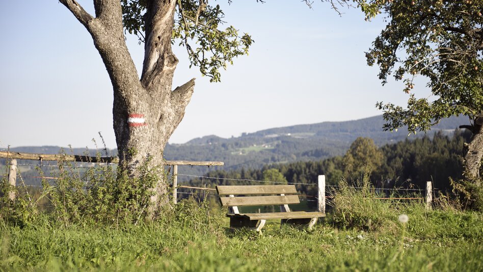 Edelschrott - Impression #2.2