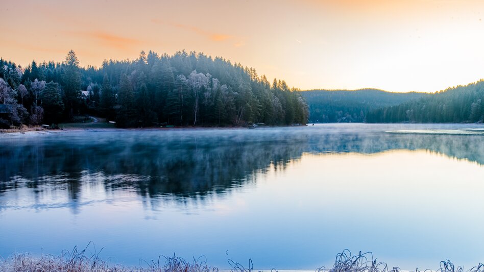 Edelschrott - Impression #2.5