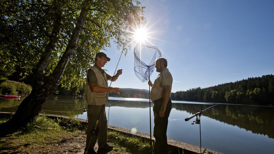 Edelschrott - Impression #2.1