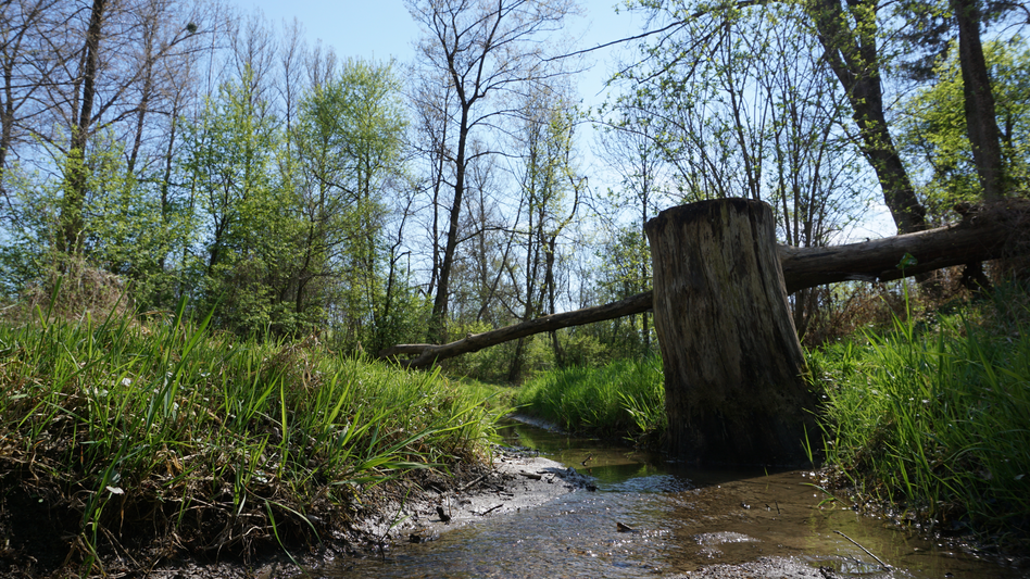 Gössendorf - Impression #2.6 | © Johannes Ulrich