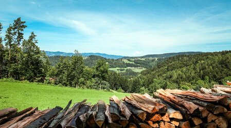 Hintere Freßnitz | © Marktgemeinde Gratkorn | Werner Gasser