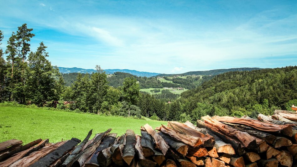 Gratkorn - Impression #2.10