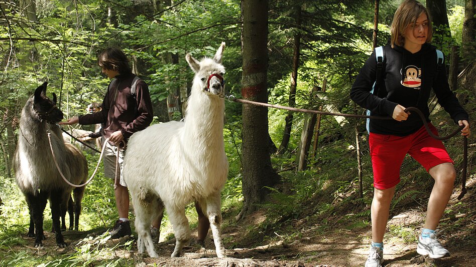 Hirschegg - Pack - Impression #2.2