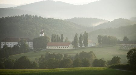 copyright©Enrico Caracciolo | ENRICO CARACCIOLO