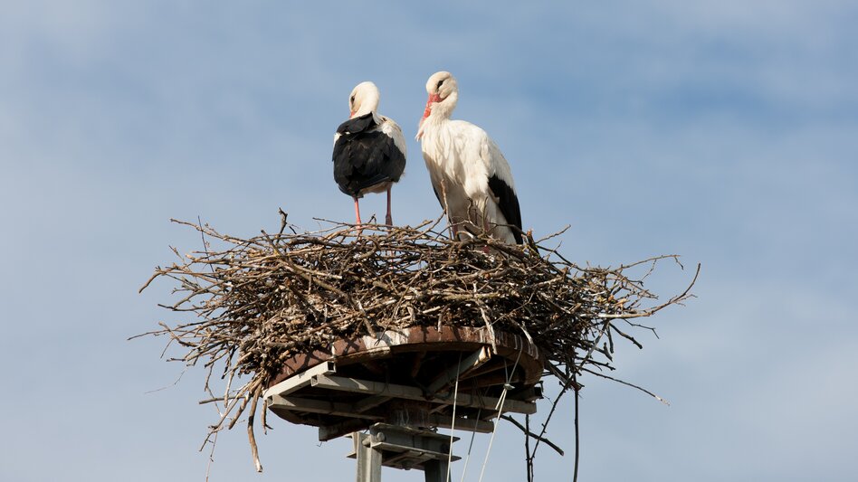 Lieboch - Impression #2.2