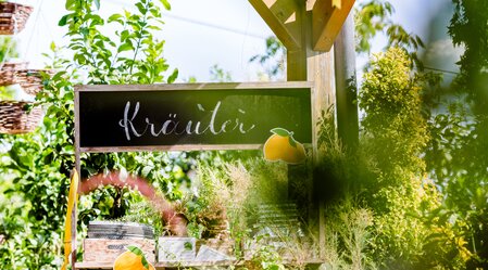 Garten Kochauf in Lieboch | © Region Graz | Mias Photoart