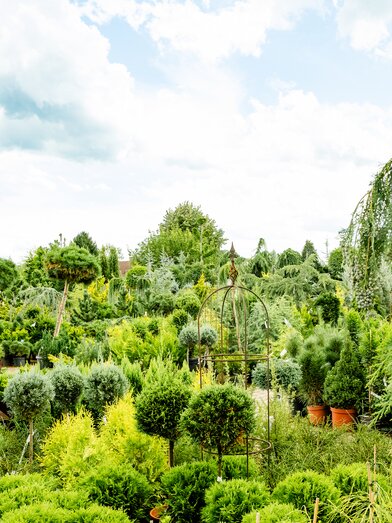 Micko Pflanzenparadies in Lieboch | © Region Graz | Mias Photoart