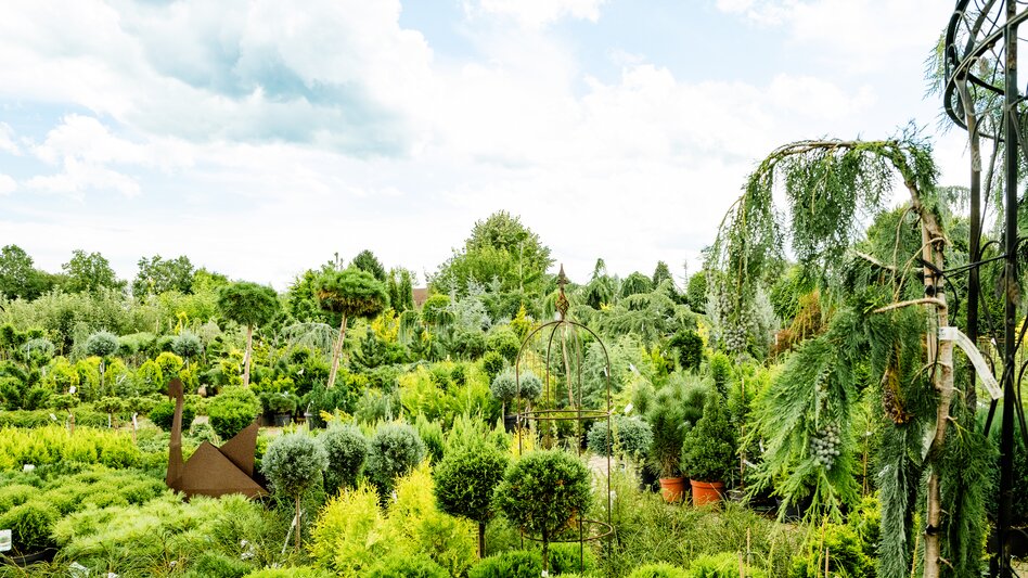 Lieboch - Impression #2.3