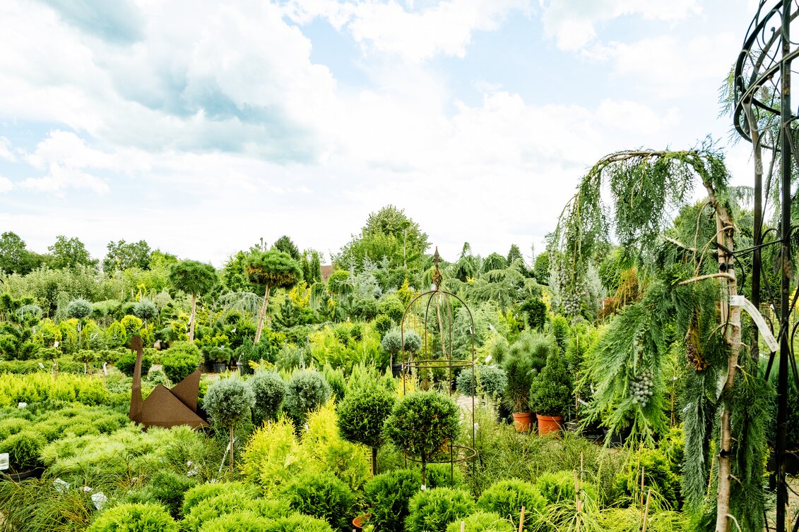 Lieboch - Impression #1