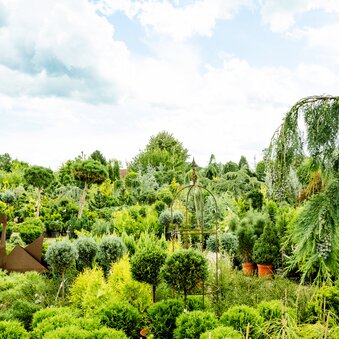 Micko plant paradise in Lieboch | © Graz Region | Mias Photoart