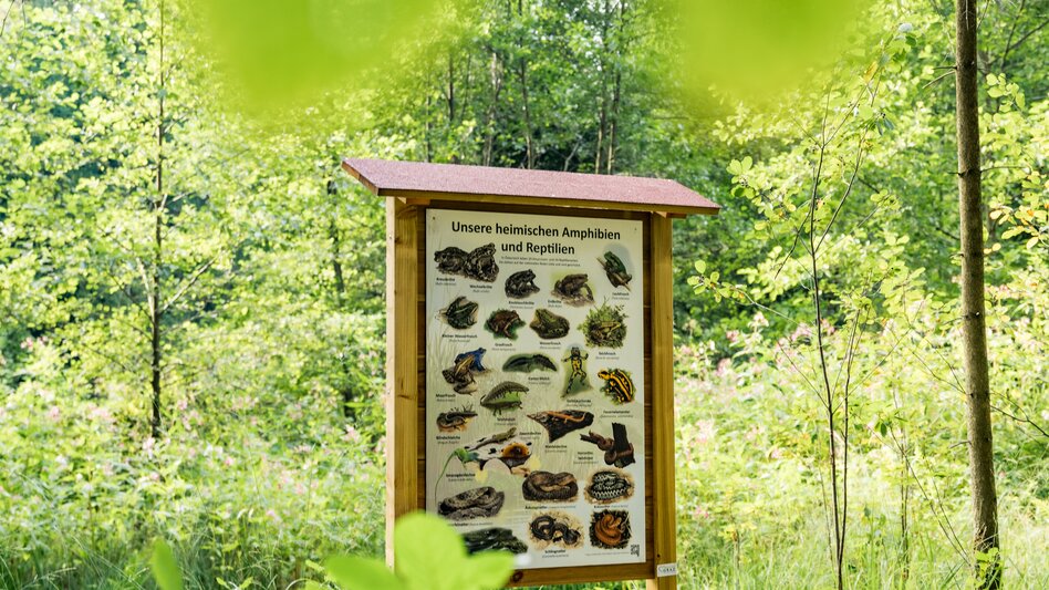 Lieboch - Impression #2.6