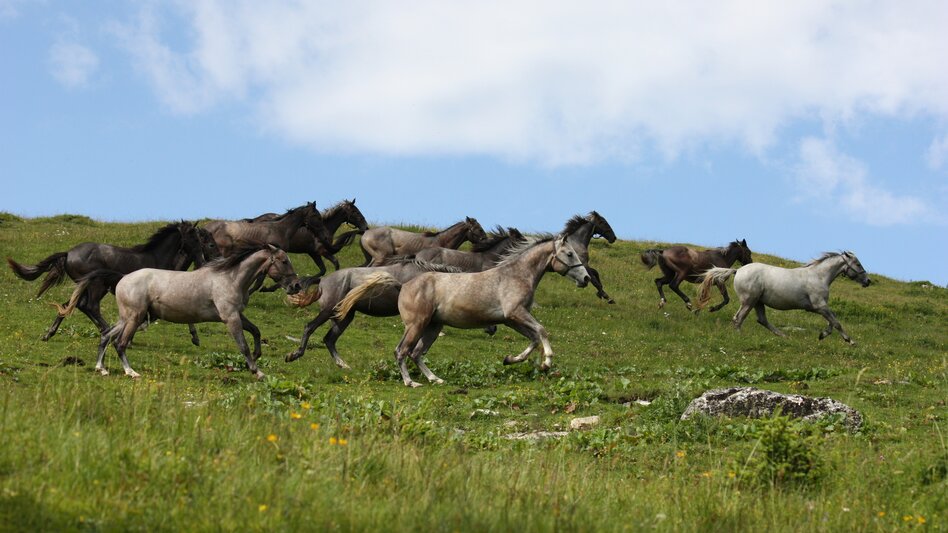 Maria Lankowitz - Impression #2.4