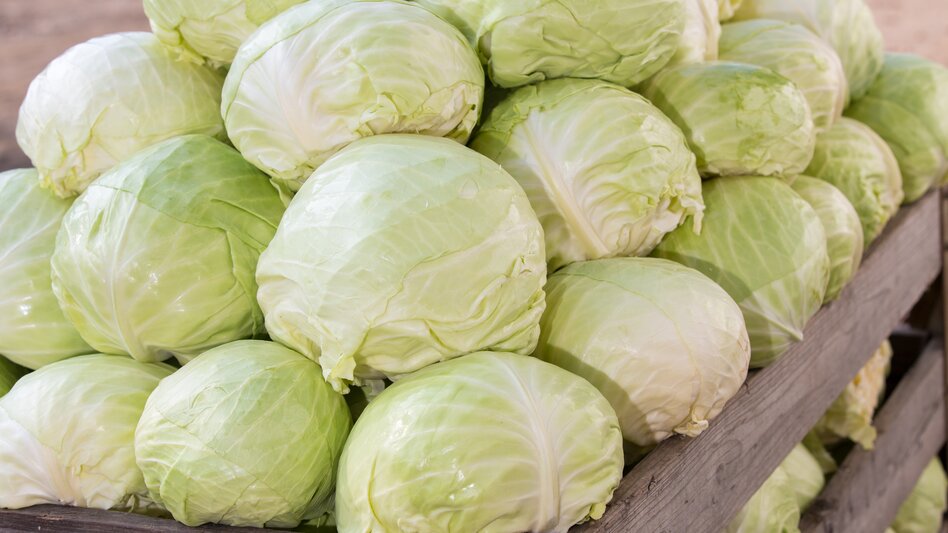 Premstätten - Impression #2.8