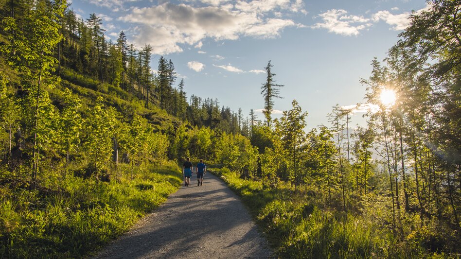 St. Radegund bei Graz - Impression #2.2