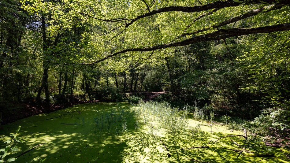 Seiersberg-Pirka - Impression #2.3